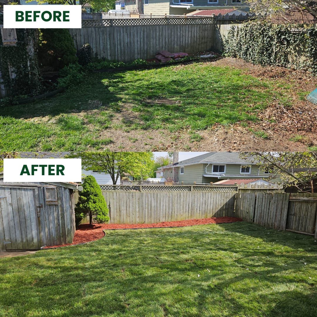 Before and after: a bare backyard transformed into a green lawn with mulch beds