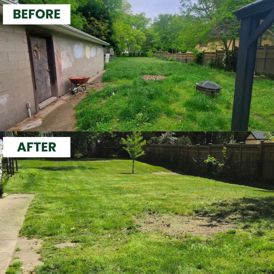 Before and after: an overgrown backyard restored to a clean mowed lawn