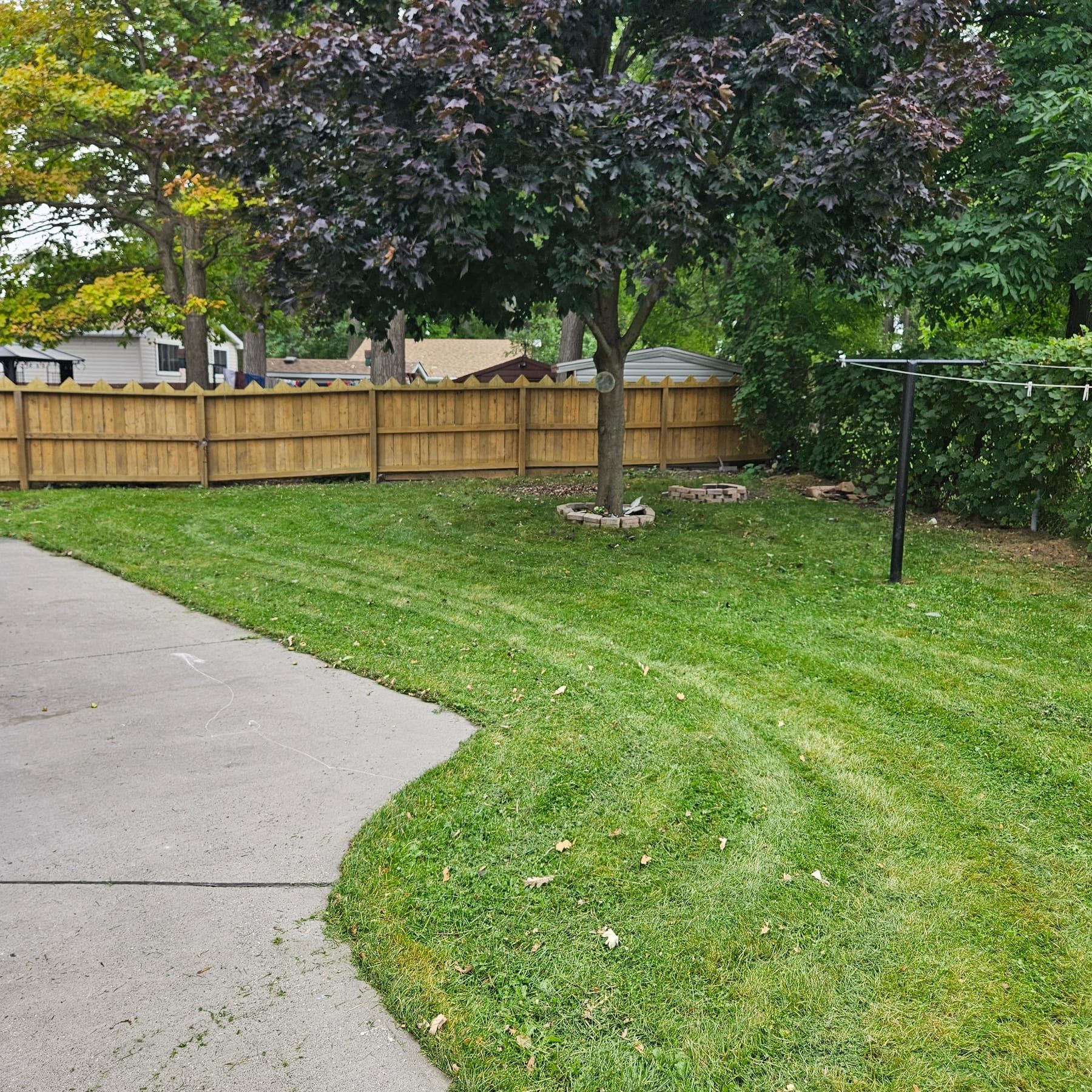 Maintained backyard lawn with a curved concrete walkway and wood fence