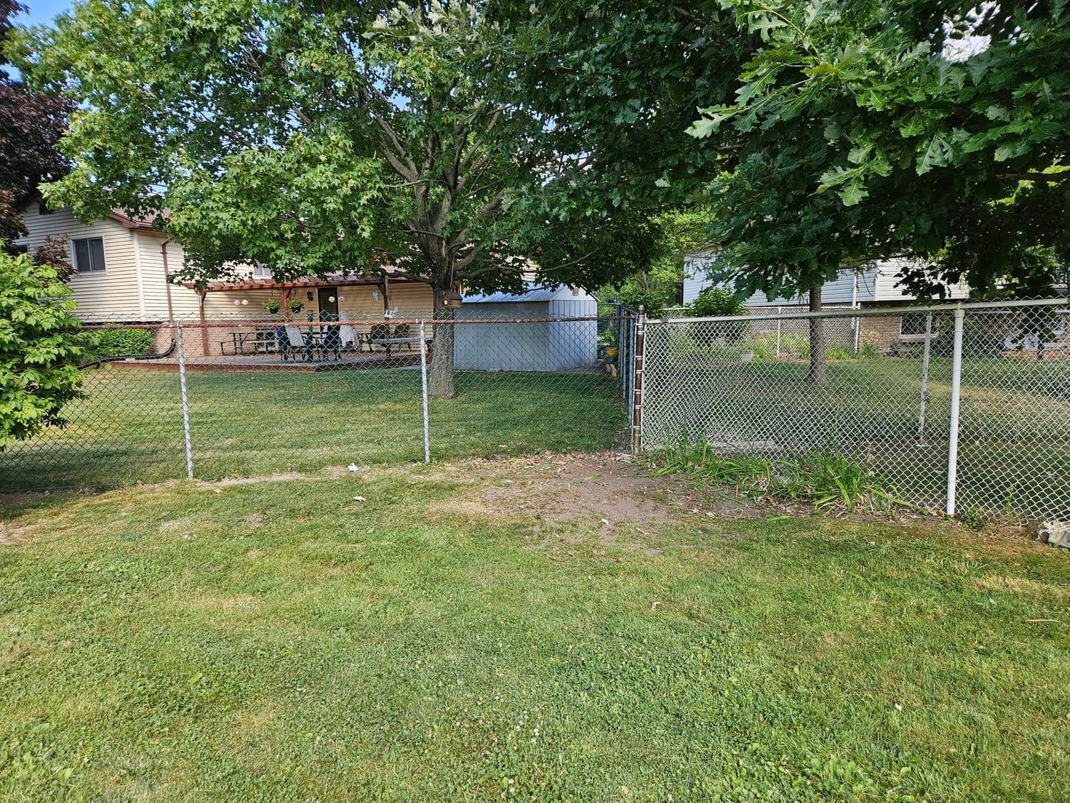 An overgrown backyard after it was cut back, mowed and cleaned up