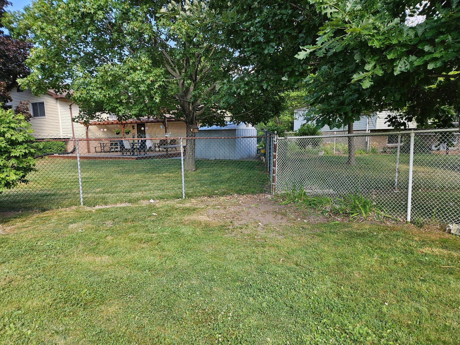 The same backyard cut back, mowed, and cleaned up