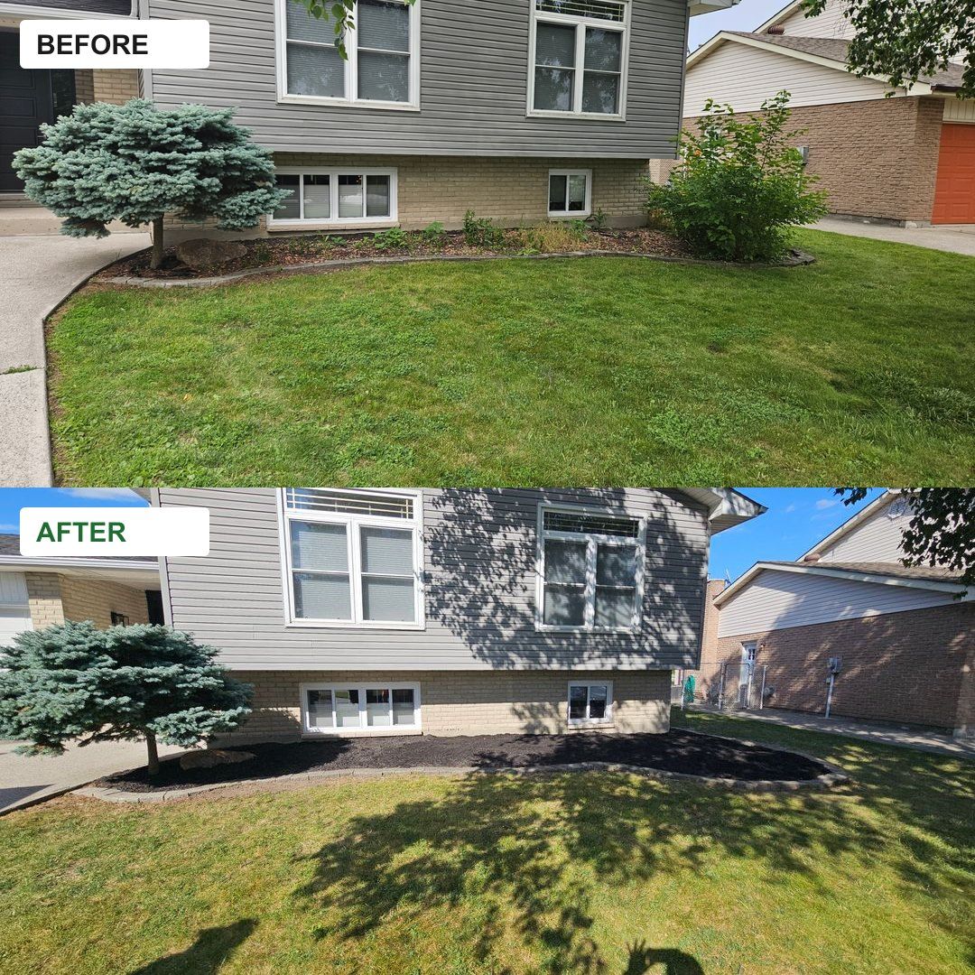 Before and after: a weedy foundation bed cleared, edged and topped with fresh mulch
