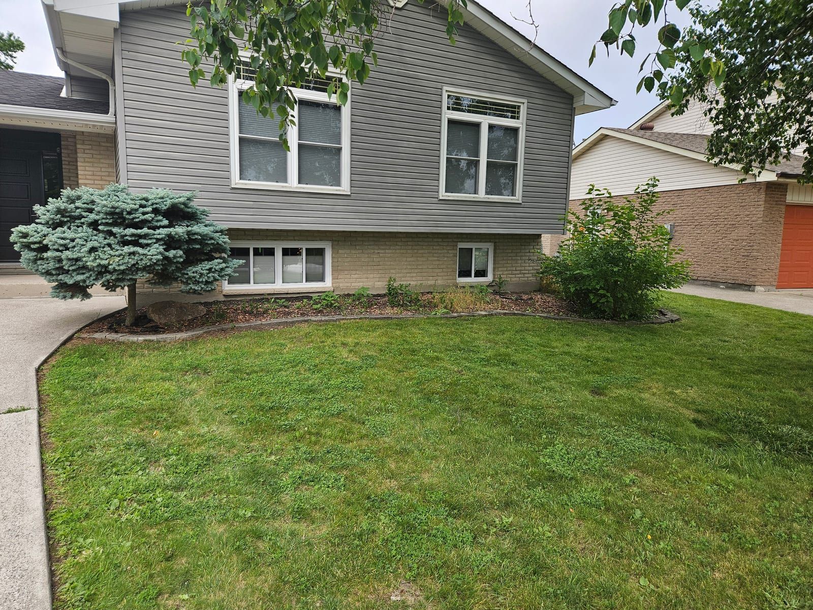 A weedy, straggly foundation bed across the front of a home before cleanup