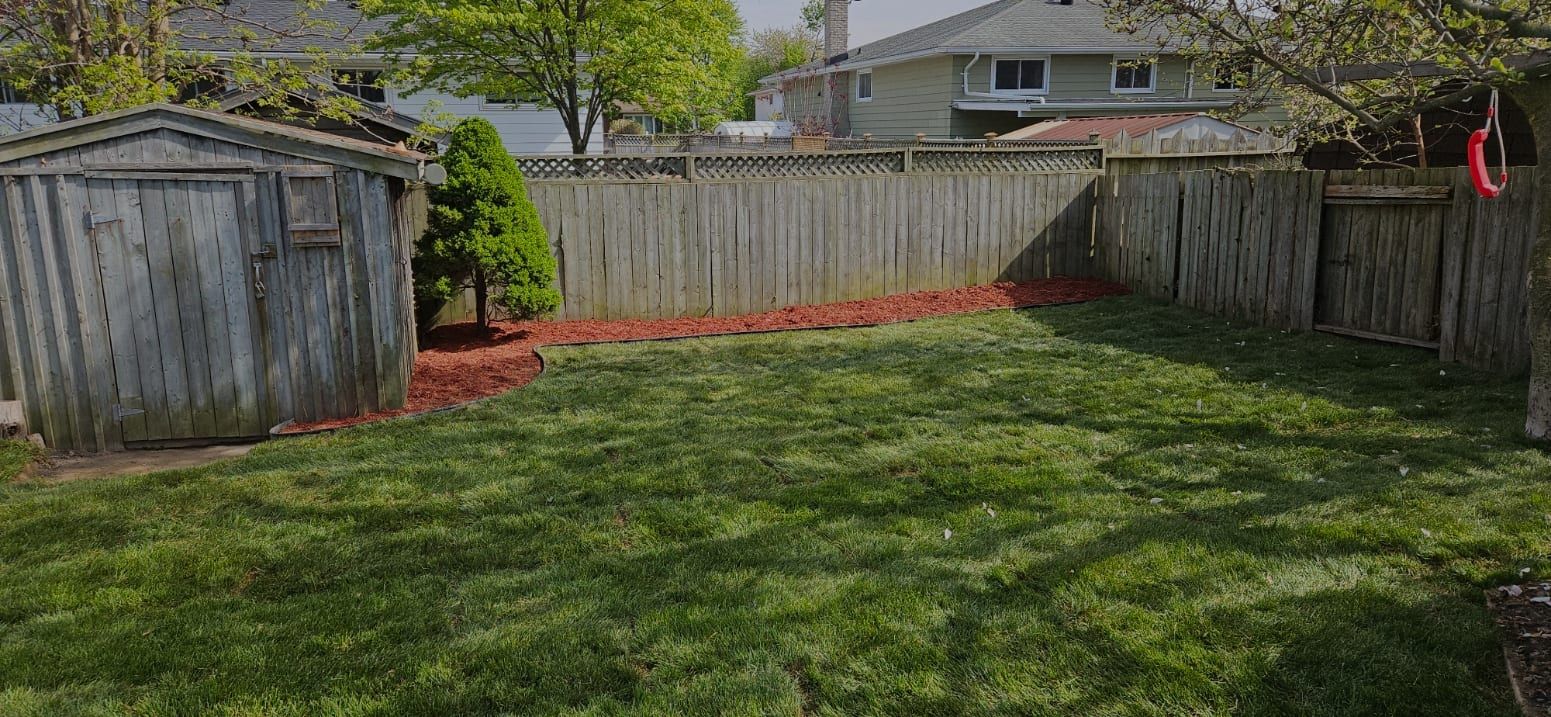 A finished backyard with a freshly mowed lawn and mulch beds along the fence