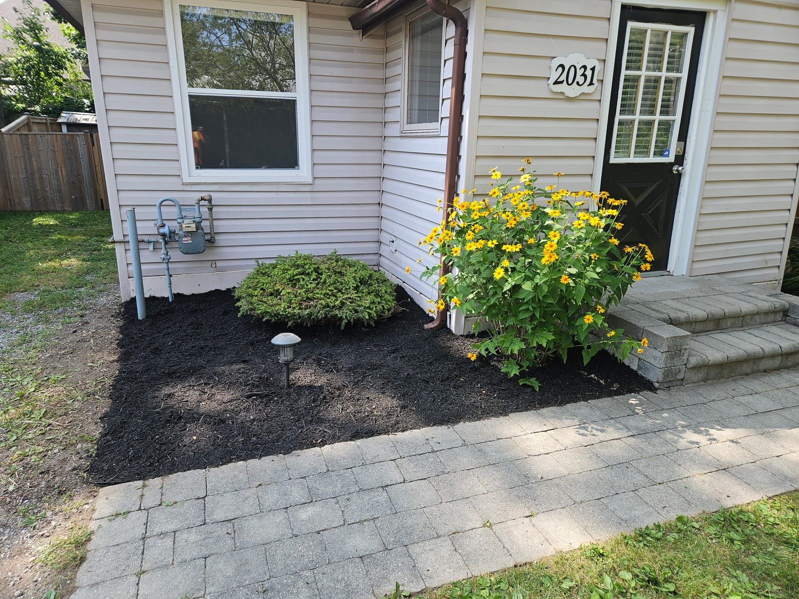 The same front bed cleared, edged and topped with fresh black mulch, with the shrub and flowers kept