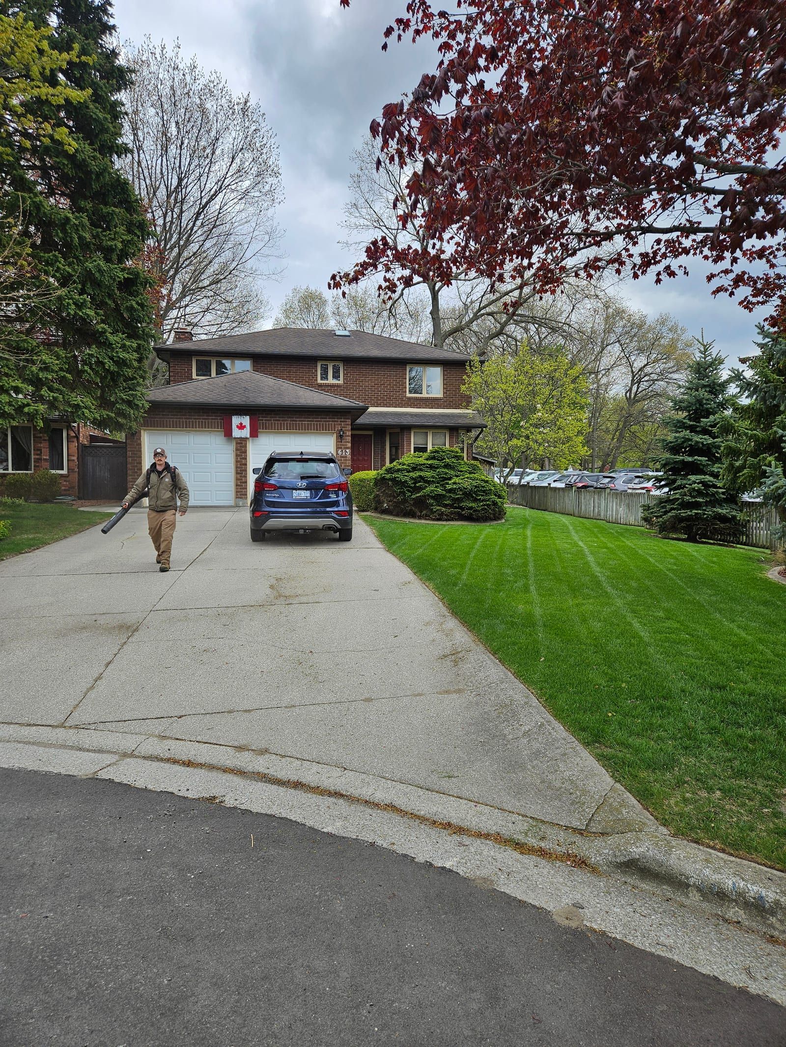 A crew member carrying a blower down the driveway beside a freshly striped front lawn