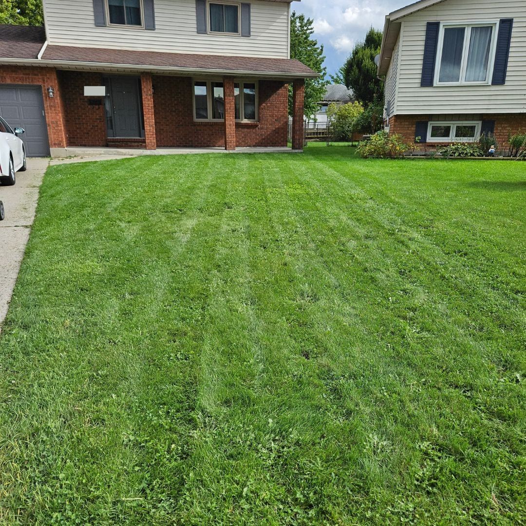 A freshly cut front lawn with clean mowing stripes beside a brick home
