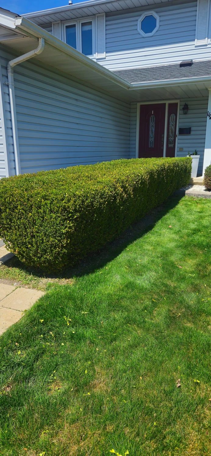 A long boxwood hedge trimmed square along a front walkway