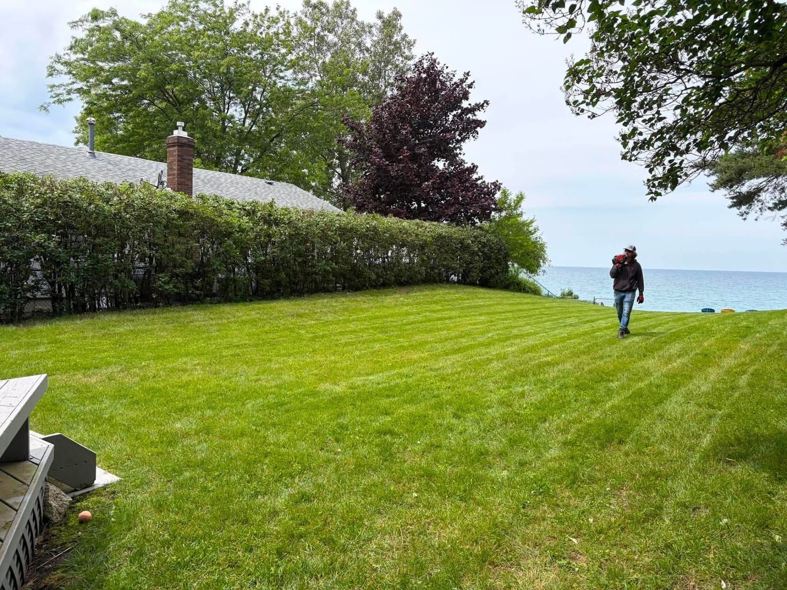 A crew member walking a large freshly striped lawn overlooking the water