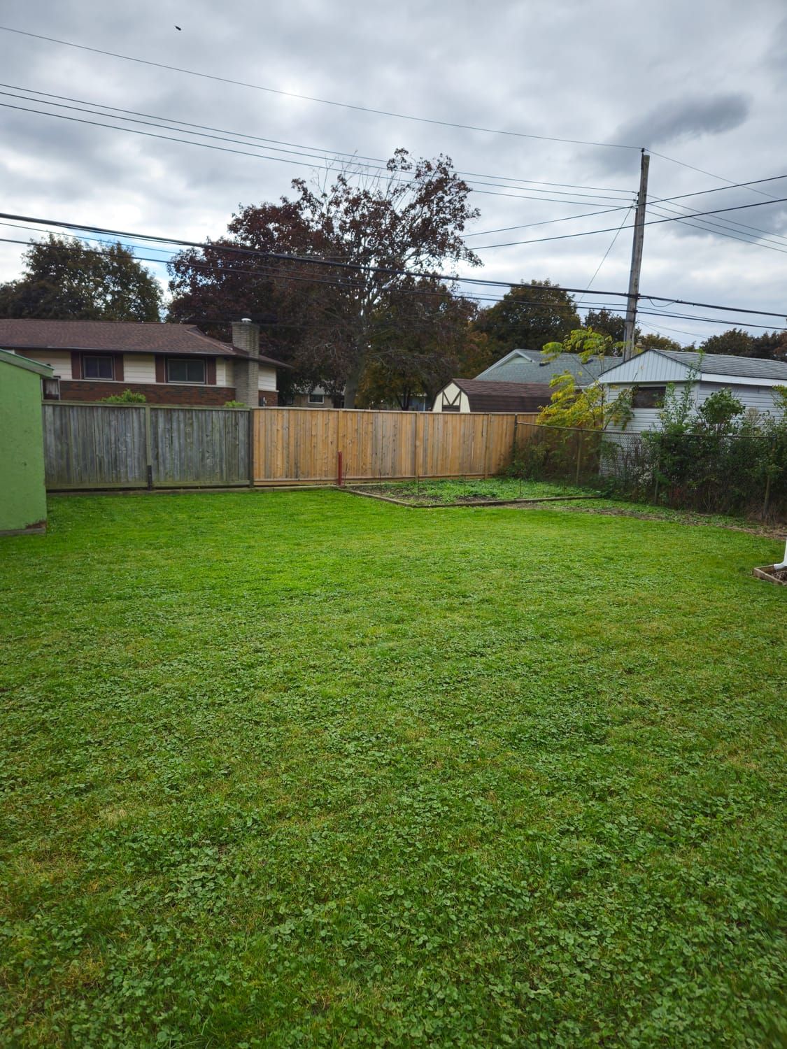 A freshly mowed backyard lawn along a wood fence in autumn