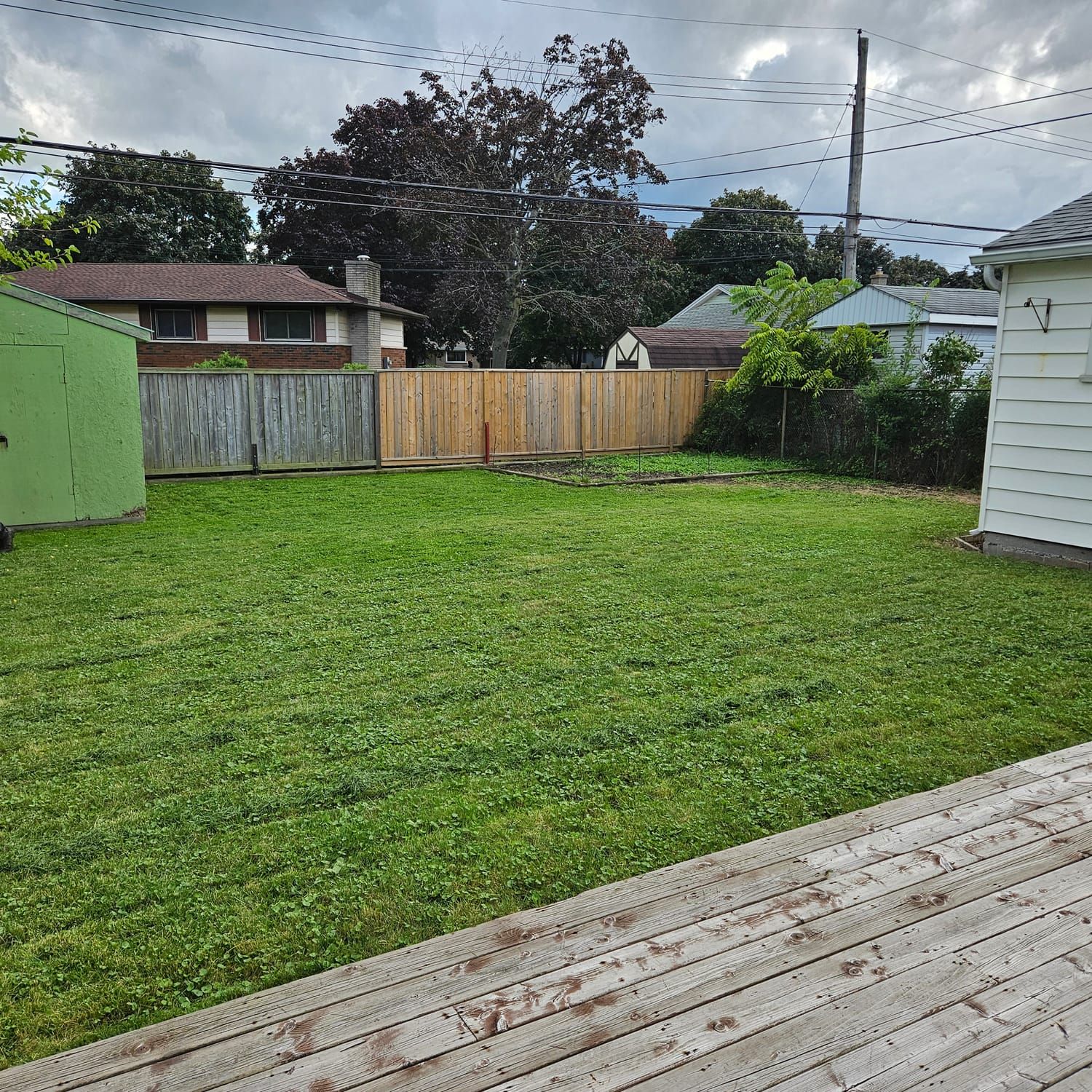 A freshly mowed backyard lawn bordered by a wood fence and shed