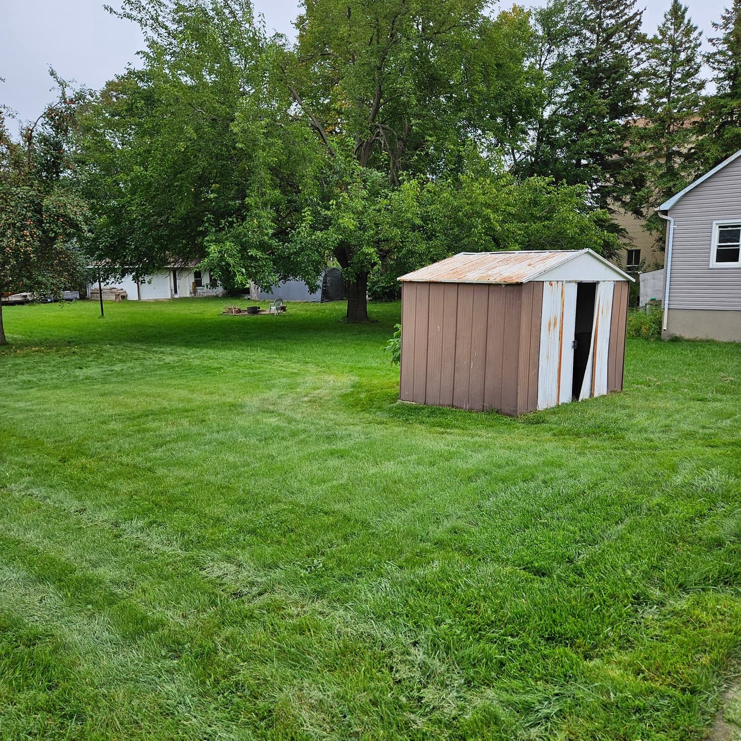 A mowed backyard lawn with a garden shed