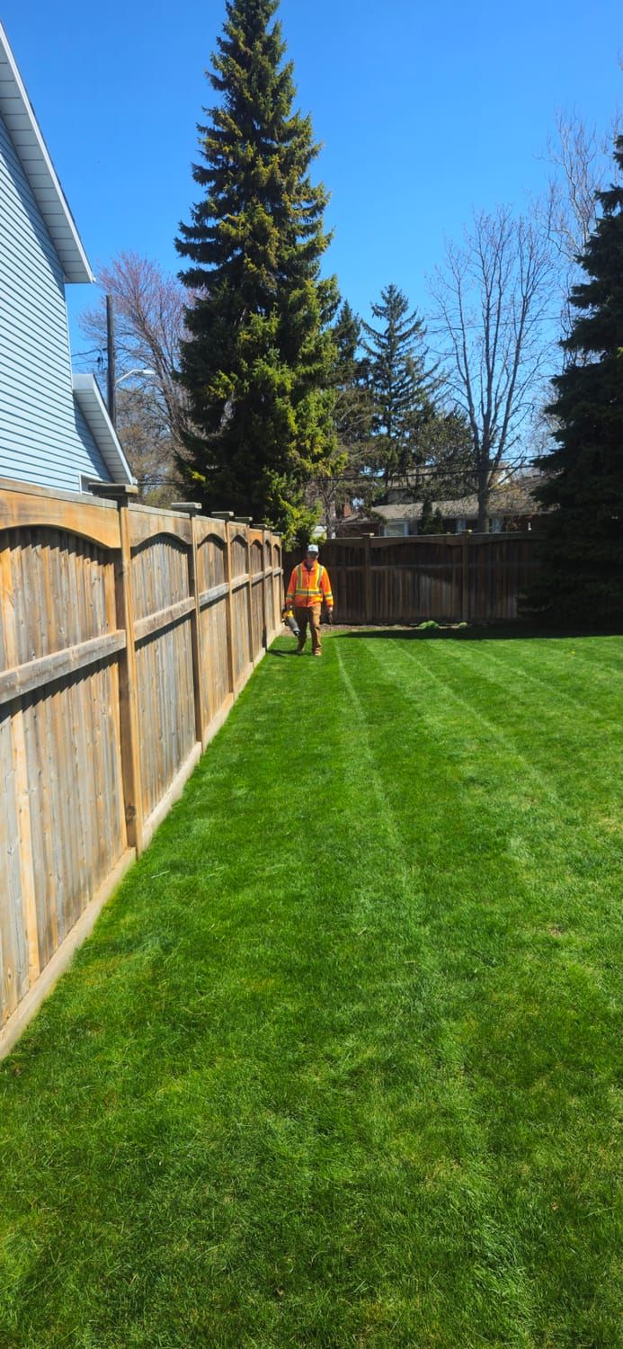 A crew member walking a freshly striped lawn along a wood fence