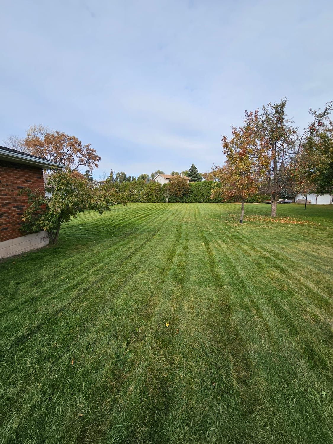 A wide freshly mowed front lawn in late autumn