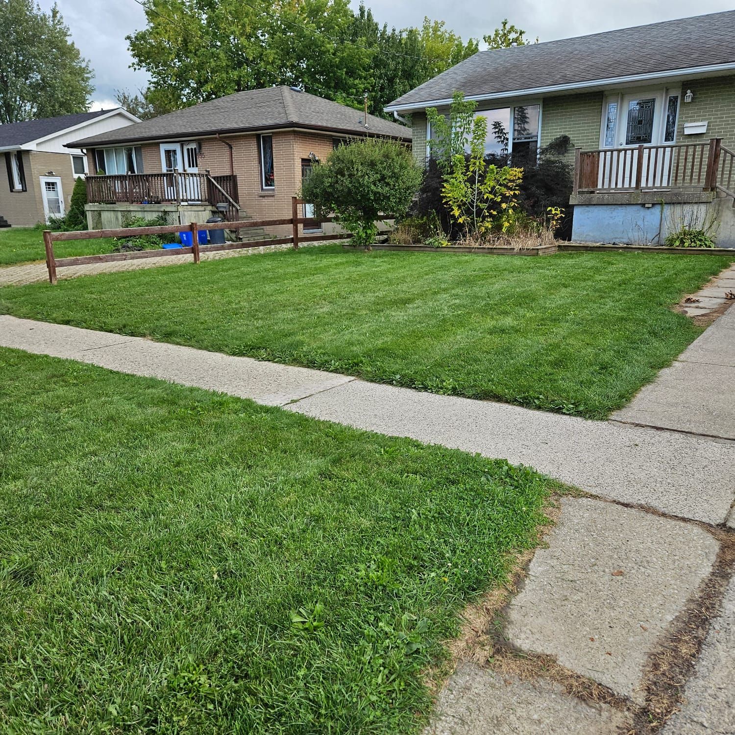 A tidy front lawn beside a concrete walkway