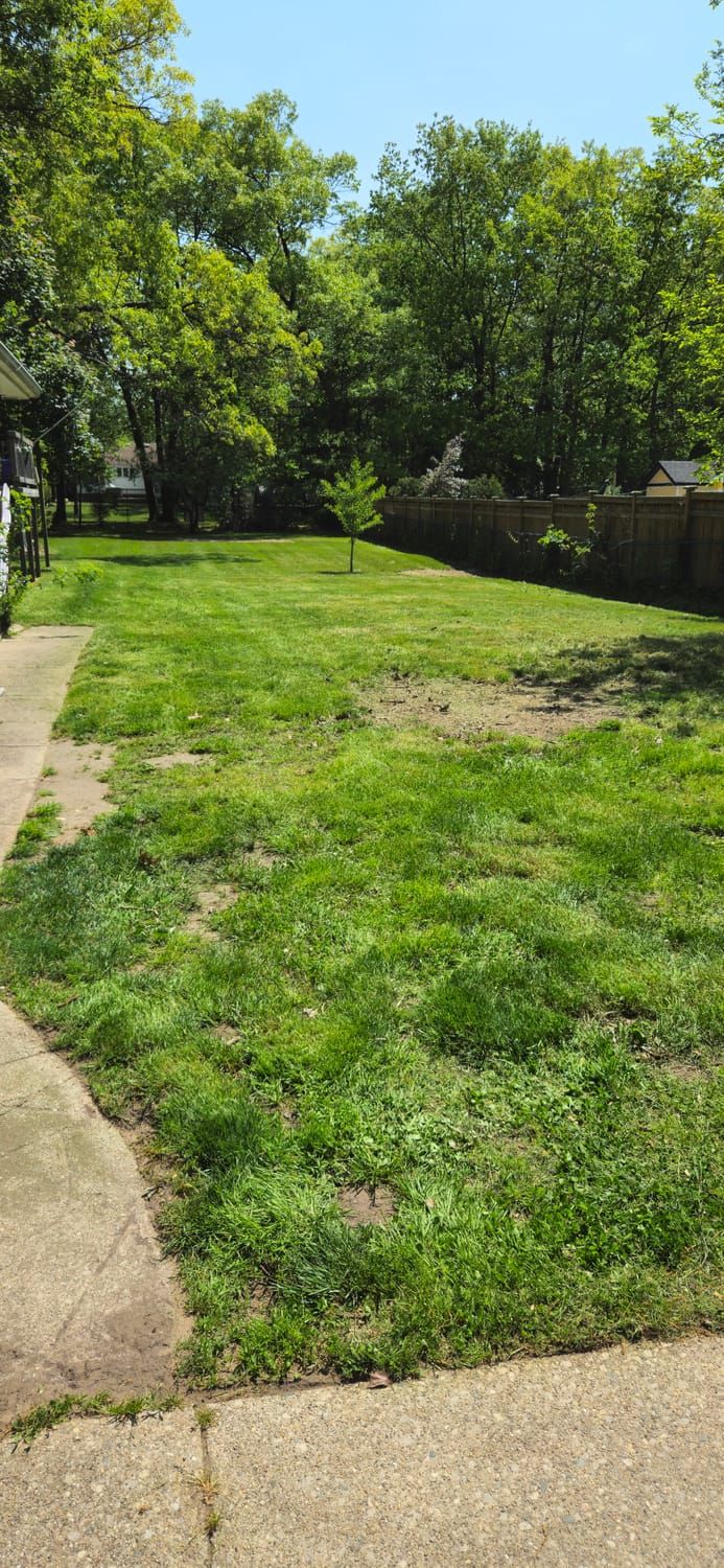 An open yard after mowing