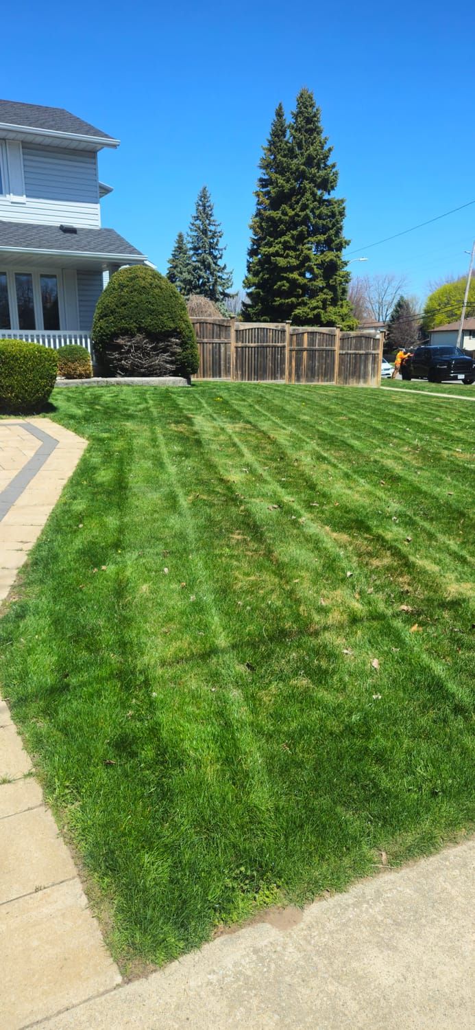 A large freshly mowed lawn with clean mowing stripes