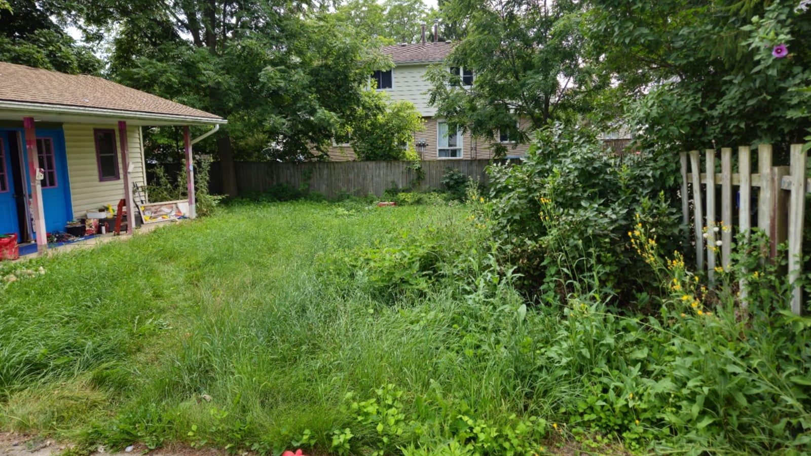 A back garden of long grass and weeds running to the back fence before cutting