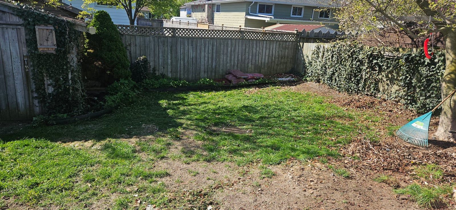A tired backyard of patchy grass and bare soil before the makeover