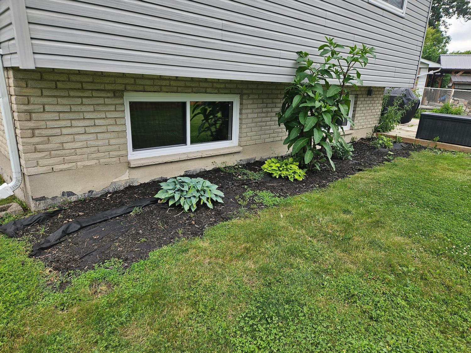 A foundation garden bed cleared and topped with fresh mulch
