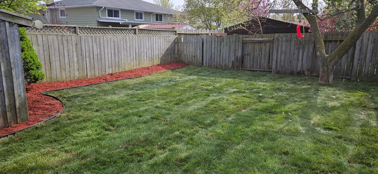 A new lawn and red mulch border running the length of a fence