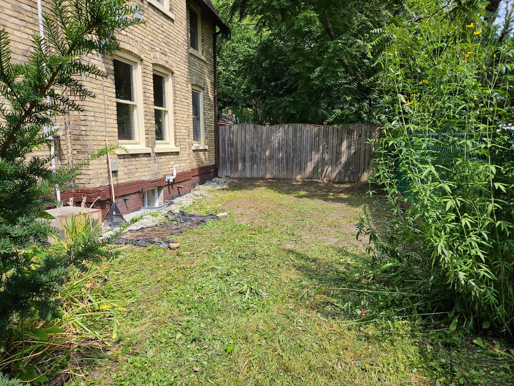 The same side yard cut down and cleared after overgrown lawn recovery