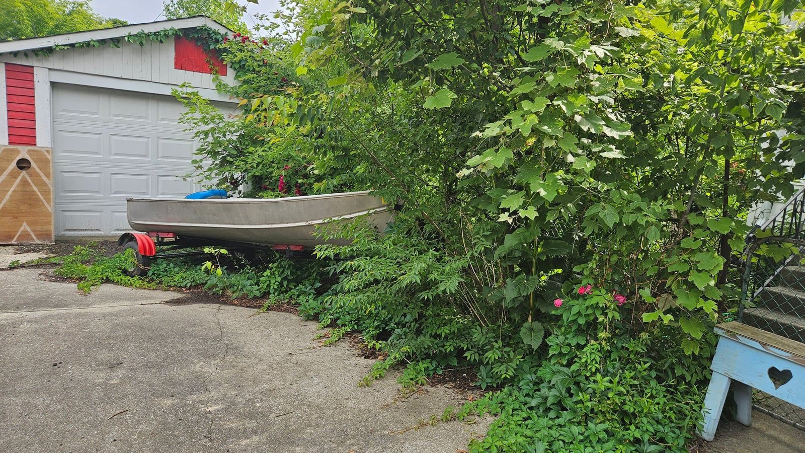 Vines and saplings grown over the side of a garage and up against a boat on its trailer