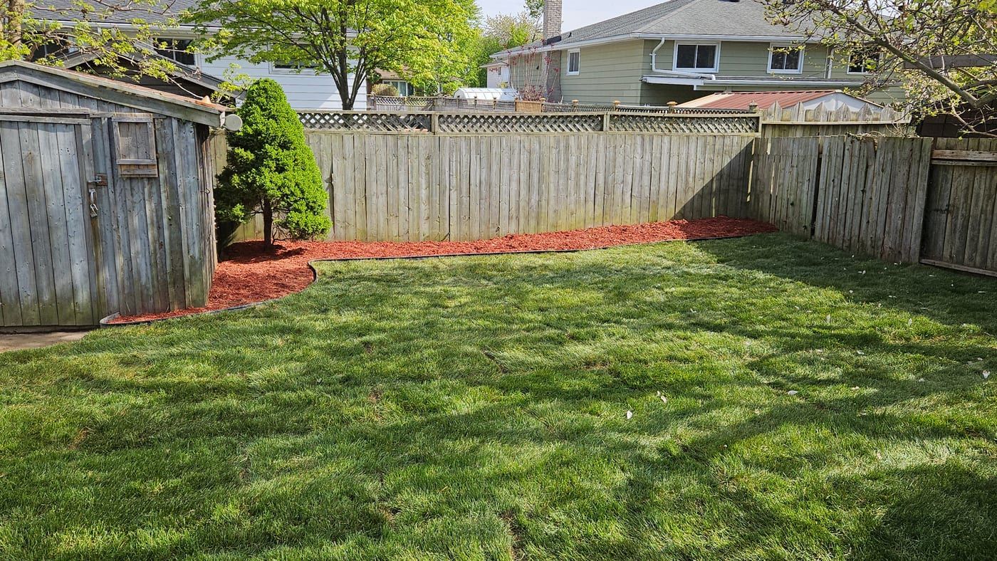 The same backyard after fresh sod was installed, with a green lawn and mulch beds