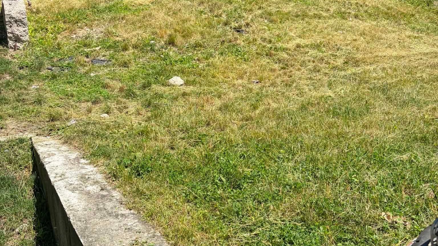 The same bank above the retaining wall cut back and mowed, with the mower alongside