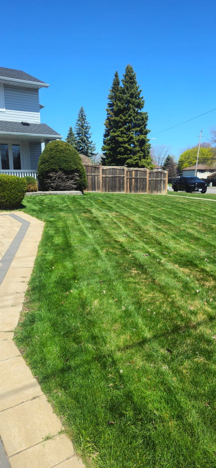 A freshly cut front lawn with mowing stripes running beside a walkway and shrubs