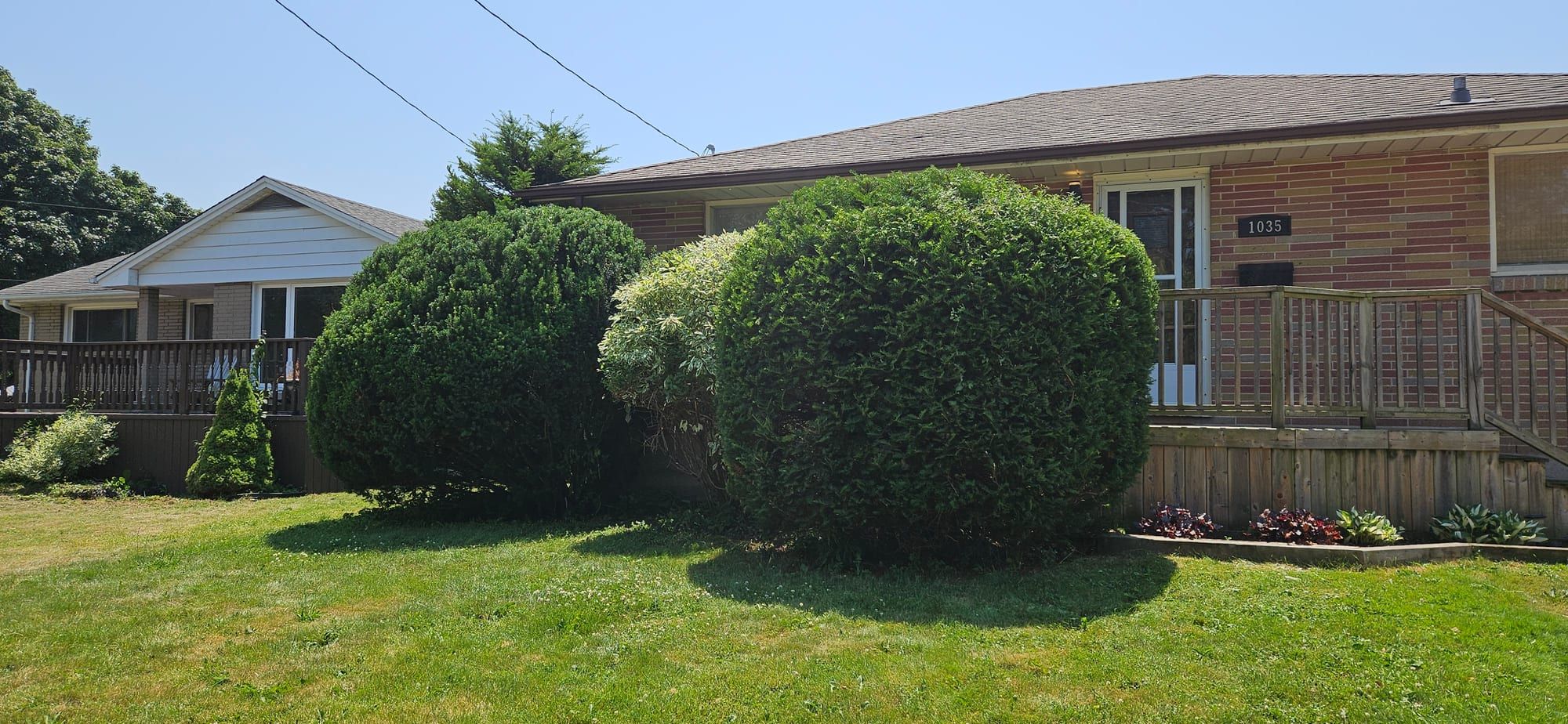 Neatly trimmed round shrubs along the front of a home with a freshly cut lawn